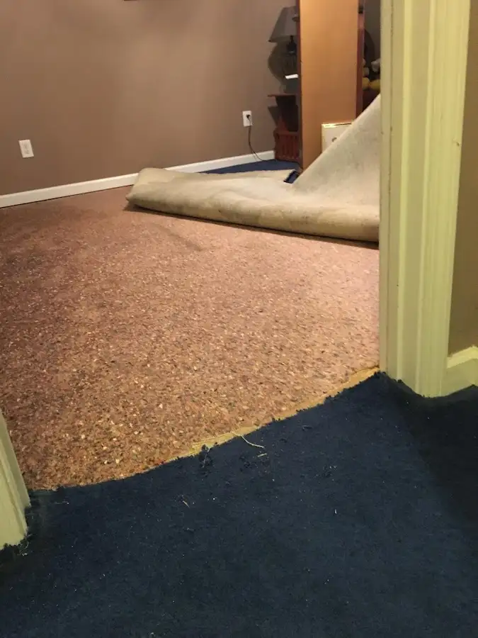 Carpet pad removal revealing water damage during Water Mitigation Services in Meriden